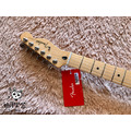 ♪ Your Music 愉耳樂器♪ Fender Player Telecaster 單單 電吉他 楓木指板 海軍藍_4 ♪ Your Music 愉耳樂器♪ Fender Player Telecaster 單單 電吉他 楓木指板 海軍藍_4