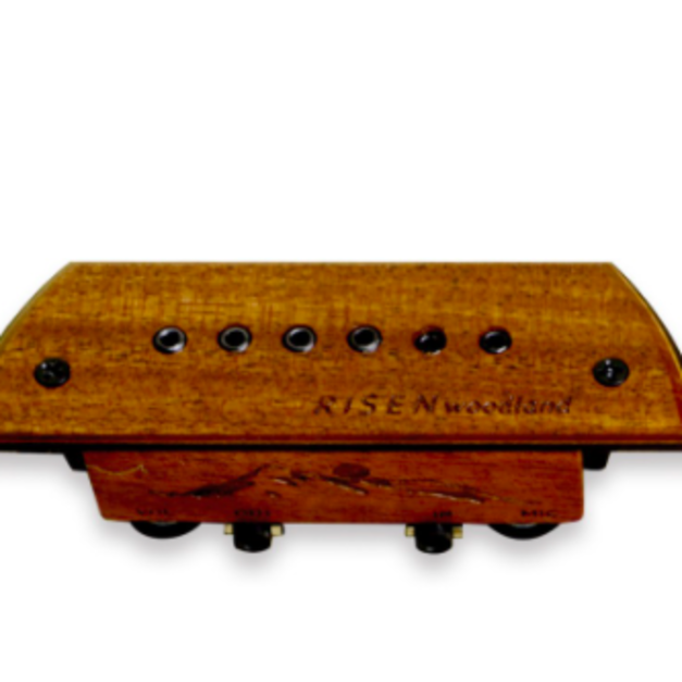 ♪ Your Music ♪Risen Woodland R3 音孔式 麥克風 木吉他拾音器 雙系統 可收板聲 ♪ Your Music ♪Risen Woodland R3 音孔式 麥克風 木吉他拾音器 雙系統 可收板聲