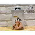 ♪ Your Music 愉耳樂器♪ 台灣公司貨MARSHALL Mode EQ 耳道式耳機 ♪ Your Music 愉耳樂器♪ 台灣公司貨MARSHALL Mode EQ 耳道式耳機