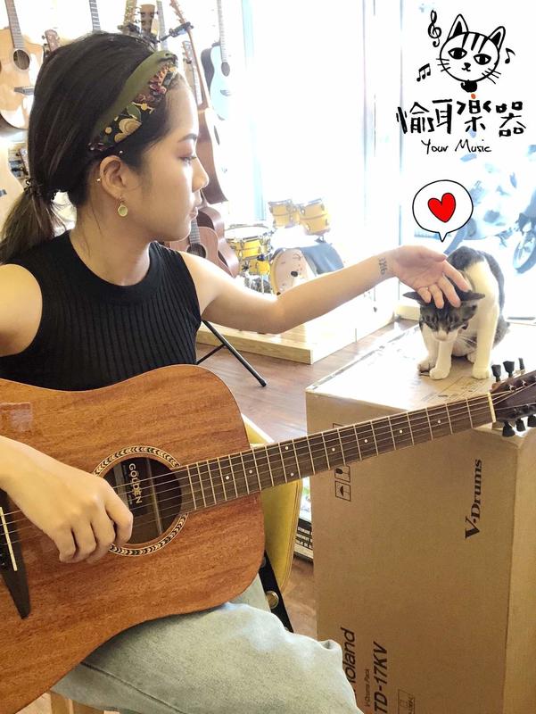 ♪ Your Music 愉耳樂器♪Diana Guitar 729 D桶 全桃花心 亮面 民謠吉他 復古