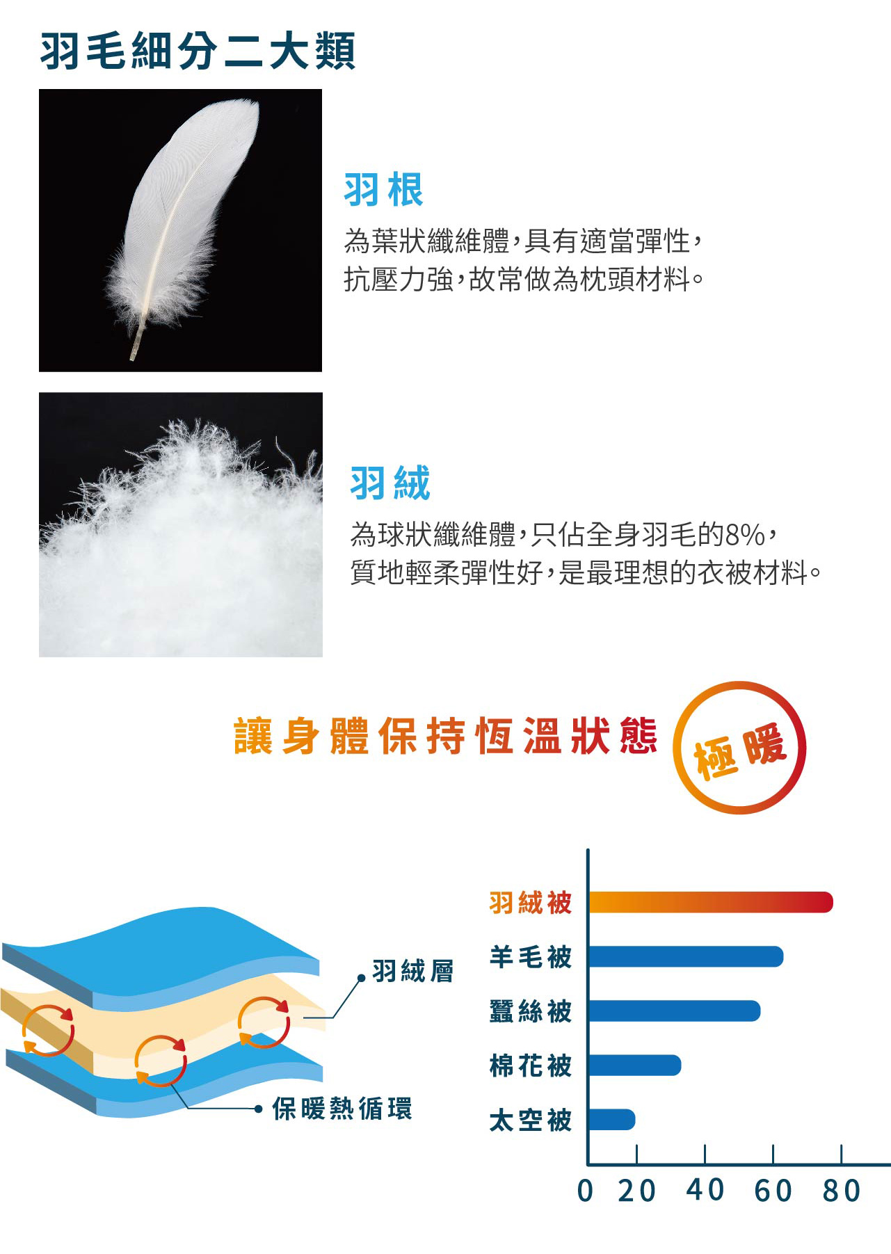 羽絨為何有高度保暖性