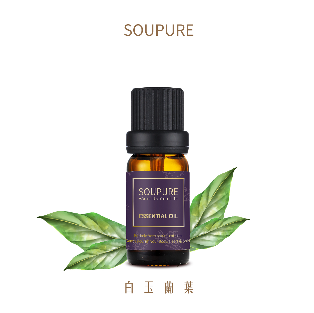 中國白玉蘭葉 單方純原精油