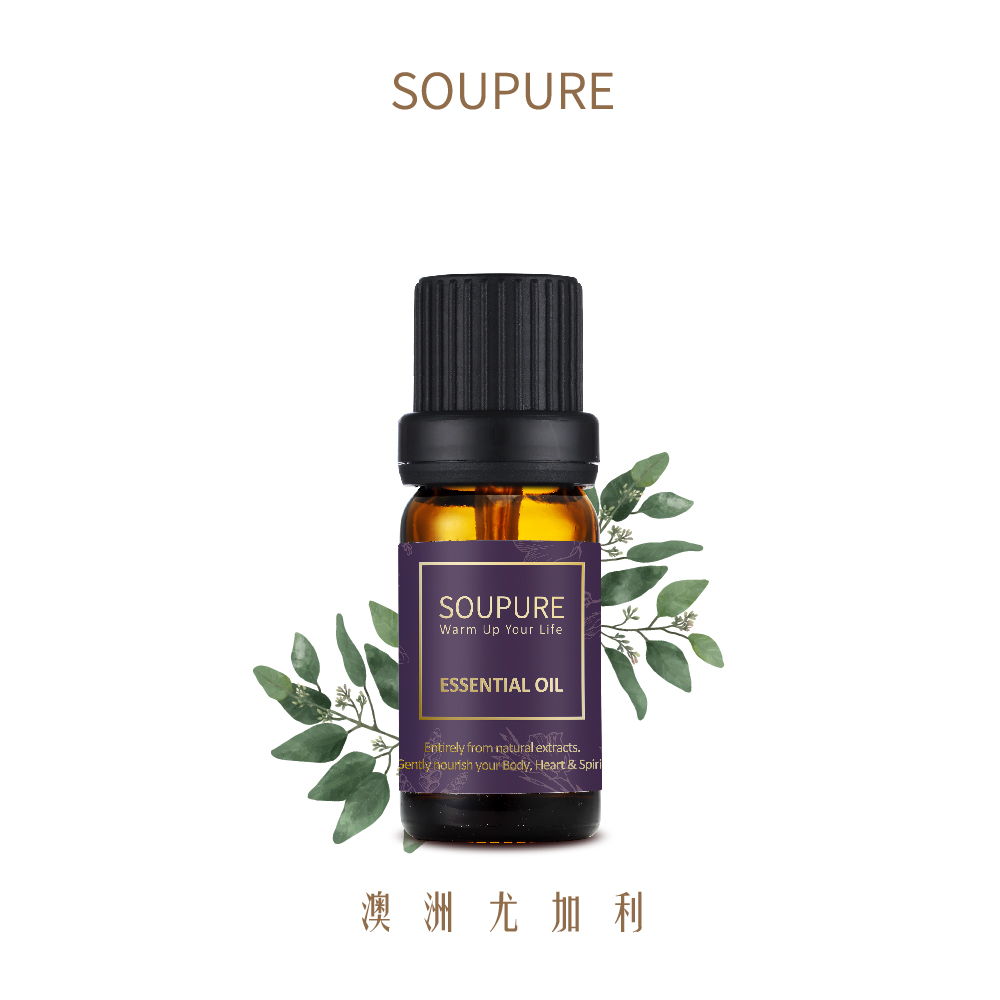 澳洲尤加利精油