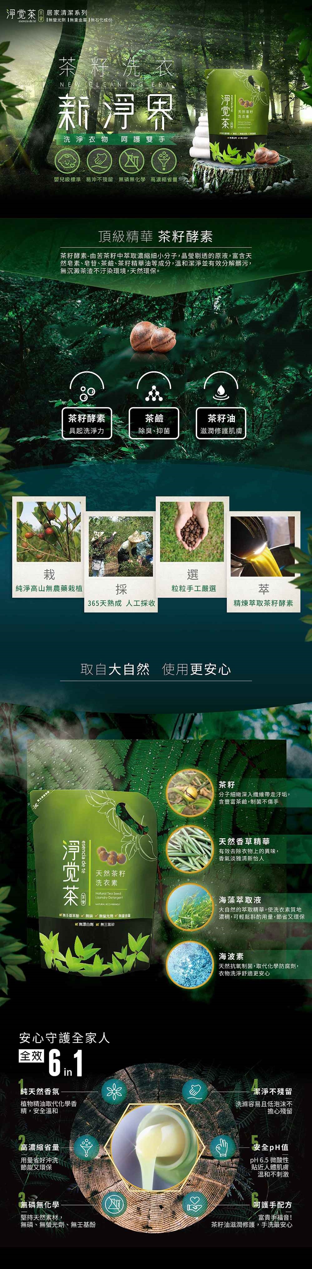 天然茶籽洗衣素補充包-茶寶