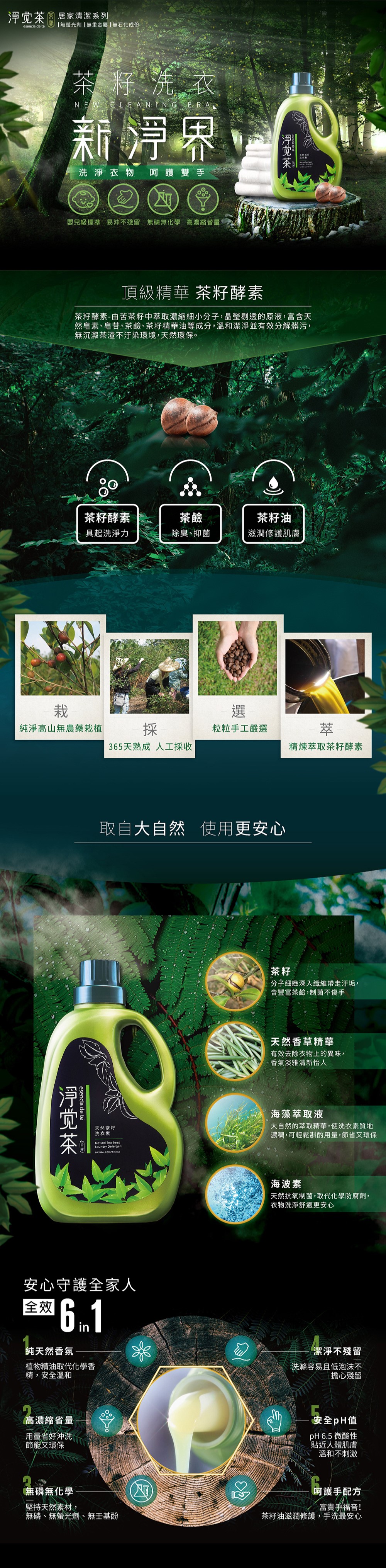 天然茶籽洗衣素-茶寶