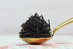 桐木村 正山小種