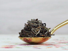 2025 純茶園 雪域之春