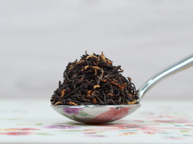 2025 桑托克莊園 小金芽