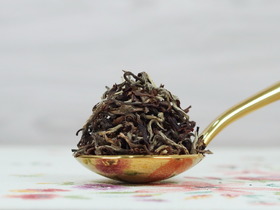 2025 凱瑟頓莊園 月之光輝