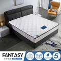 FANTASY 天絲針織布5尺標準雙人 5區段獨立筒設計 (BD-1903-5)台灣製造/高碳鋼彈簧十年保固_1