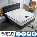 FANTASY 天絲針織布6尺加大雙人 5區段獨立筒設計 (BD-1903-6)台灣製造/高碳鋼彈簧十年保固_1