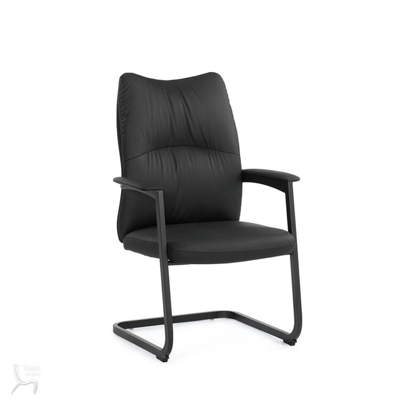 1656-3 夏洛蒂洽談椅(黑色)(皮)