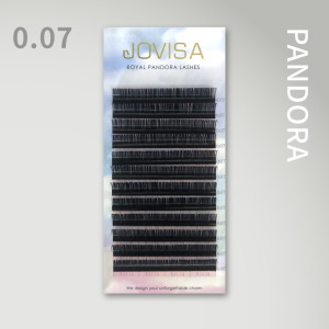 6D 多根稼接 -【潘朵拉雲彩】睫毛 C/D