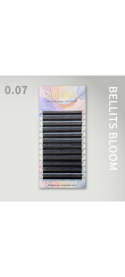 6D 朵毛稼接 -【貝蒂斯睫毛0.07 CC】▸8月
