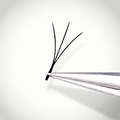 6D 朵毛稼接 -【W3魅力輕羽0.07】睫毛 C/CC▸黑色▸10月_1
