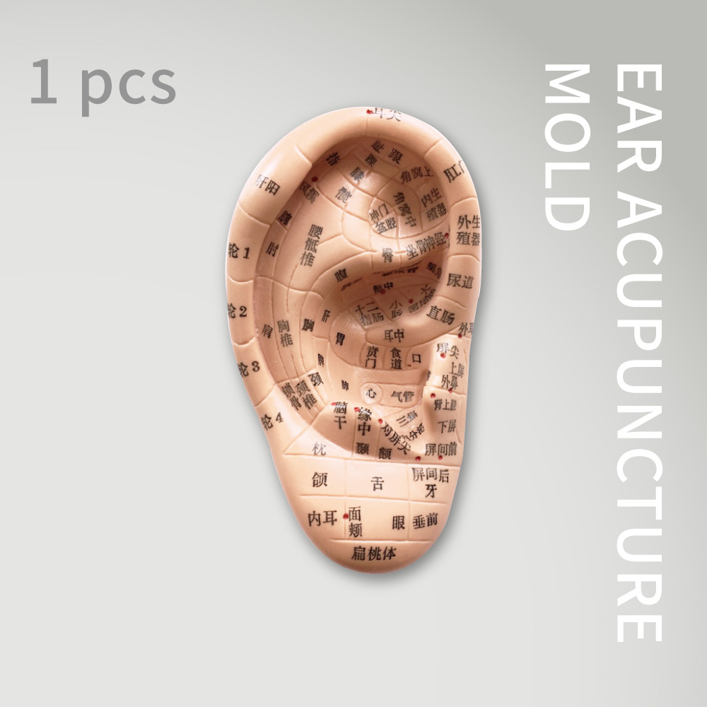 JOWIE-耳穴模型(PVC)▸膚色◂