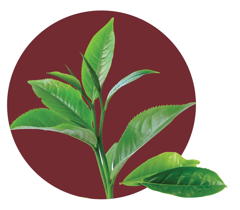 睫毛清潔重要性