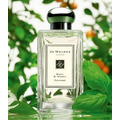 Jo Malone 羅勒與橙花純露 翻玩經典羅勒香(預購)