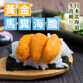 海底來的黃金食材 日本北海道馬糞海膽