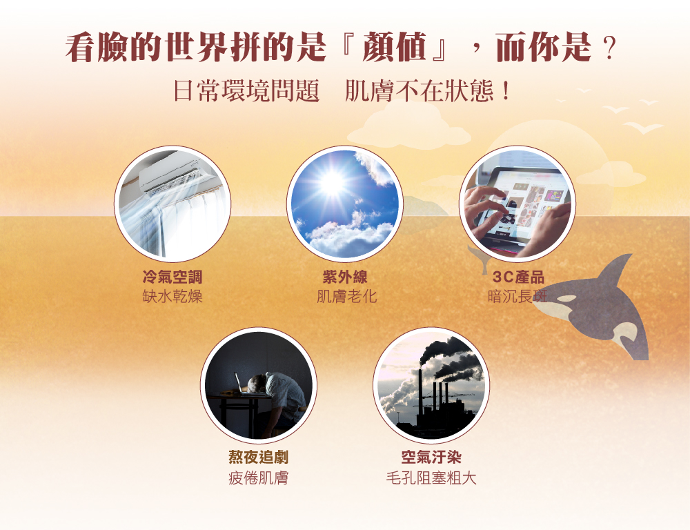 【夢幻秘境】珍珠玻尿酸柔亮賦活面膜 (10入/盒) 6 42164ccf301ae2e7ebf1eeaad0046da6 1