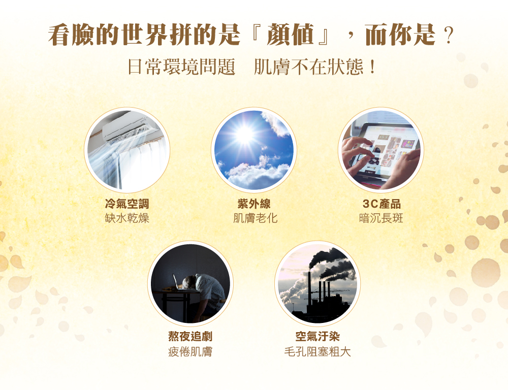 【夢幻秘境】Q10蒲桃緊緻滋潤面膜 (10入/盒) 5 e1d948133905dcc9cc051add39d687c9 1