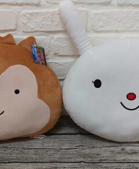 太陽的後裔抱櫟