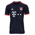 拜仁慕尼黑15/16第二客場球衣