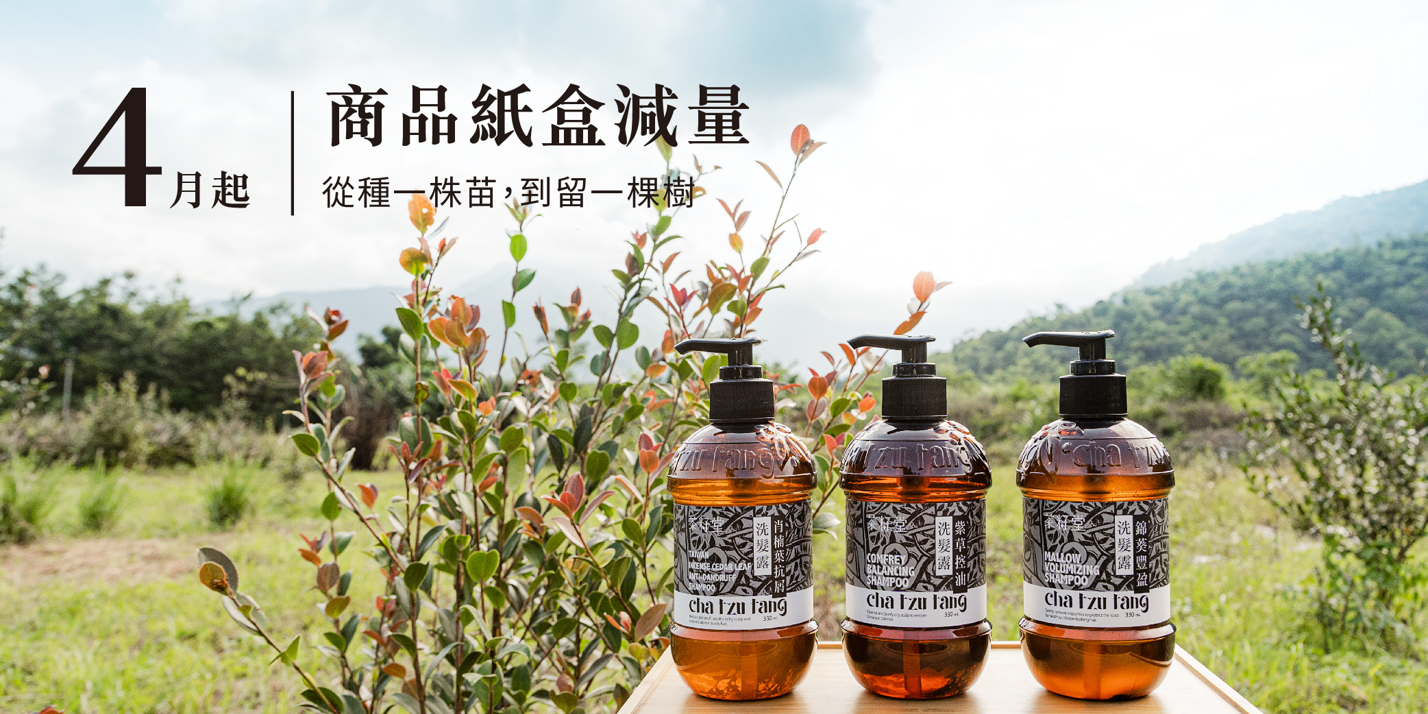 商品紙盒減量方案 茶籽堂購物商城 臺灣苦茶油洗沐保養專家