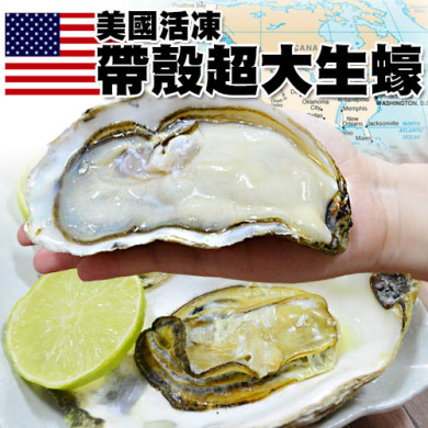 【海中牛奶】日本 | 美國 大生蠔