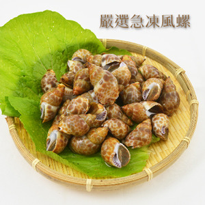 【團購王】熱炒必備-鮮急凍香Q大鳳螺(風螺)