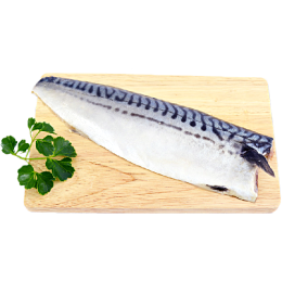 【團購王】挪威薄鹽鯖魚片17-24片組