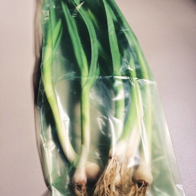 愛菜果蔬果保鮮袋(XL)