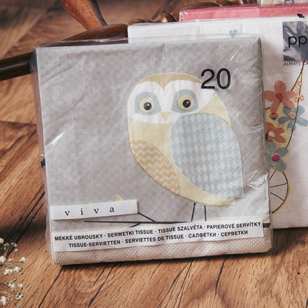 德國環保印花餐巾紙(貓頭鷹圖案)