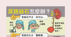 【A4海報】尿路結石怎麼辦？