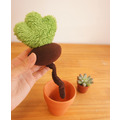 手作植物：毛毛小盆栽_1
