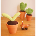 手作植物：雙葉小盆栽_3