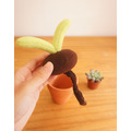 手作植物：雙葉小盆栽_1