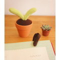 手作植物：雙葉小盆栽_2