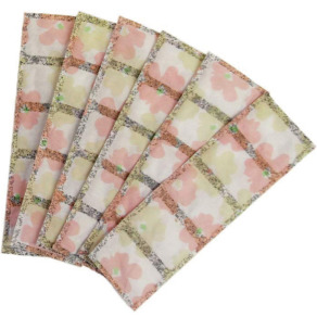 Fujipacks 鞋底除臭片