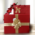 紅色禮盒+提袋/彌月禮盒/生日/新年禮
