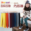 冬款韓版中大童加絨加厚百搭彈力內搭褲(10色)