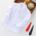 2021春裝韓版中大童男童素色長袖襯衫/上衣(領帶款)