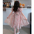 夏款韓版中大童碎花雪紡公主裙/連衣裙_5
