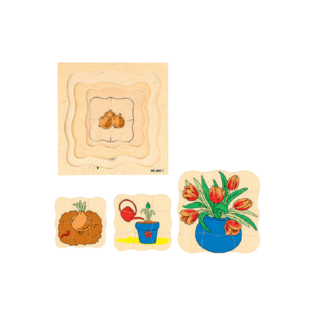 四層拼圖之成長系列-鬱金香