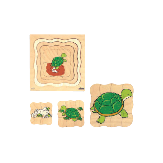 四層拼圖之成長系列-烏龜