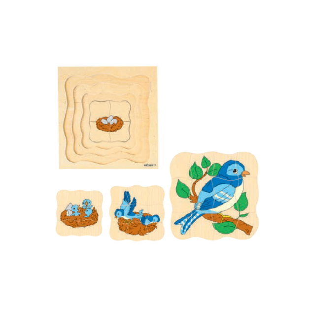 四層拼圖之成長系列-鳥