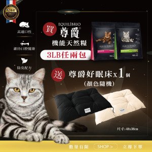 尊爵好眠床(顏色隨機)