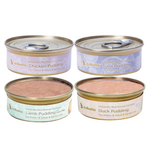 Astkatta 冰島 補水布丁罐40g-隨機口味 21罐/箱