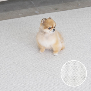 韓國製 dfang迪邦 奈米膜耐抓寵物遊戲地墊-加厚款綿綿雪花  (180x140cm7mm整片式)