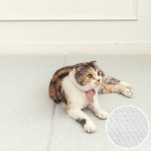 韓國製 dfang迪邦 奈米膜耐抓寵物遊戲地墊-加厚款綿綿雪花 (240x140cm可裁切四折)